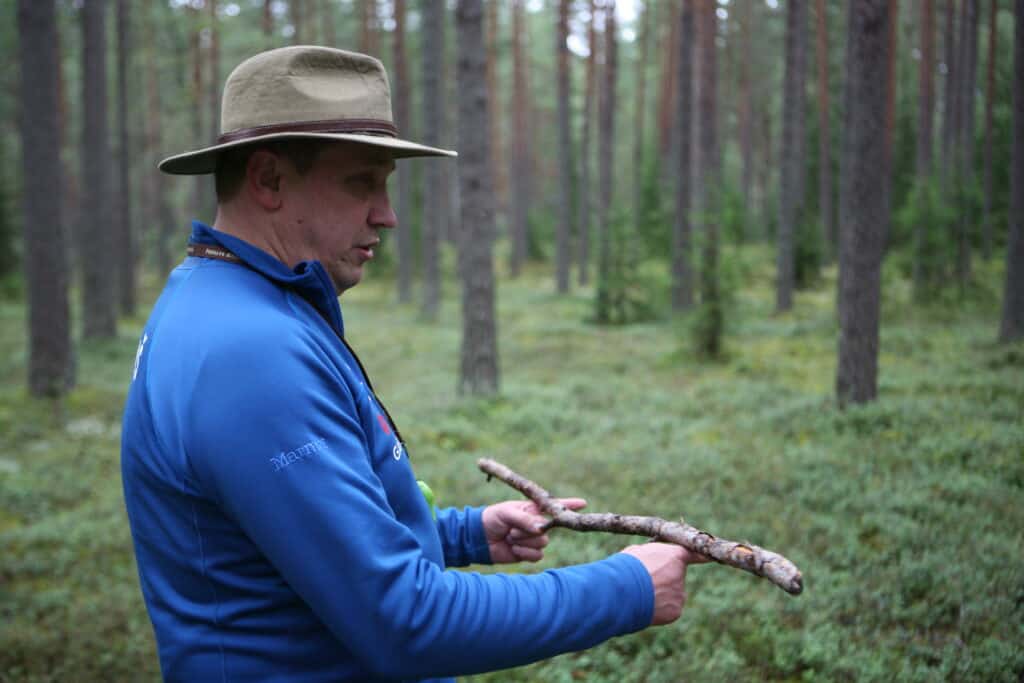 A man in the forest with a stick, exploring nature and tree branches.