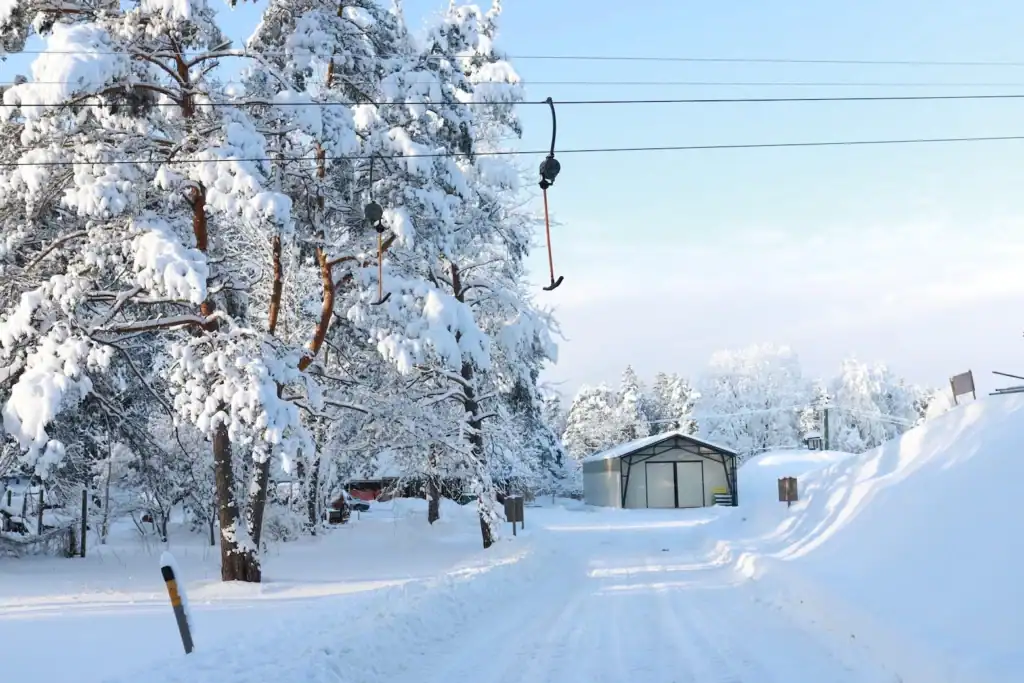Winter landscape with snow-covered forest and road, snow-covered environment, winter nature view.