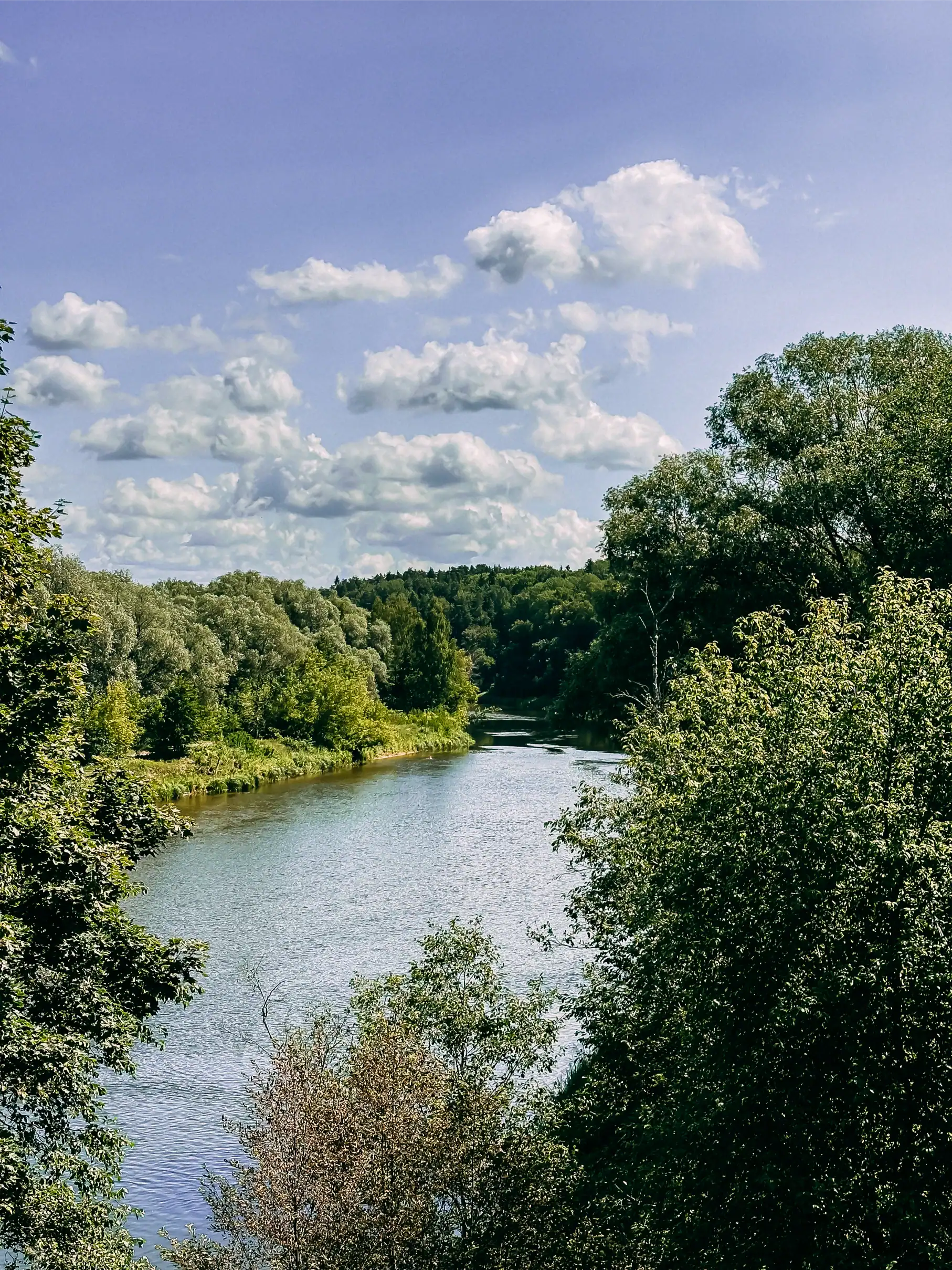 A natural river with green trees and a cloudy sky in the background.