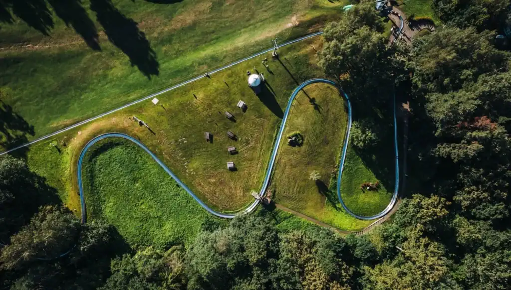Top view of a green water park with trees and grass, on a sunny day.