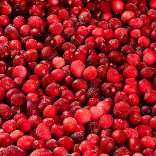 Frozen Cranberry GRADE A 12mm-15mm