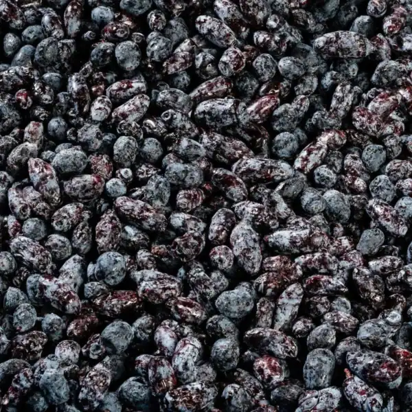 Frozen Organic Honeyberry (Haskap) GRADE A