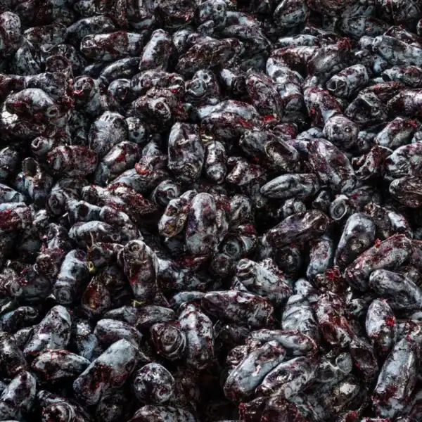 Frozen Organic Honeyberry (Haskap) GRADE A