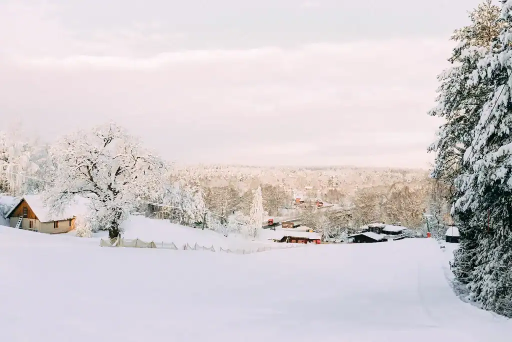 Landscape image of a snowy field, trees and village in winter.