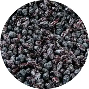 Frozen Organic Honeyberry (Haskap) GRADE A