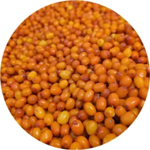 seabuckthorn